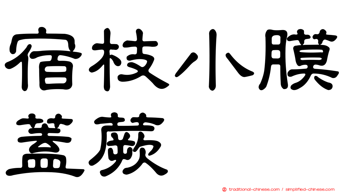 宿枝小膜蓋蕨