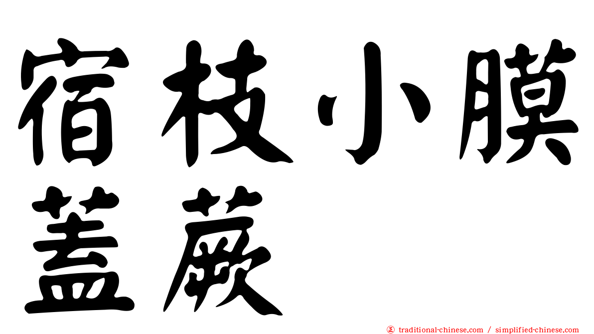 宿枝小膜蓋蕨