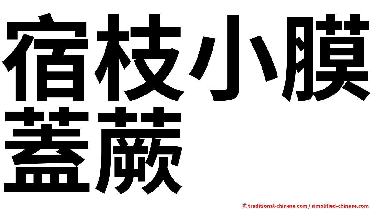 宿枝小膜蓋蕨