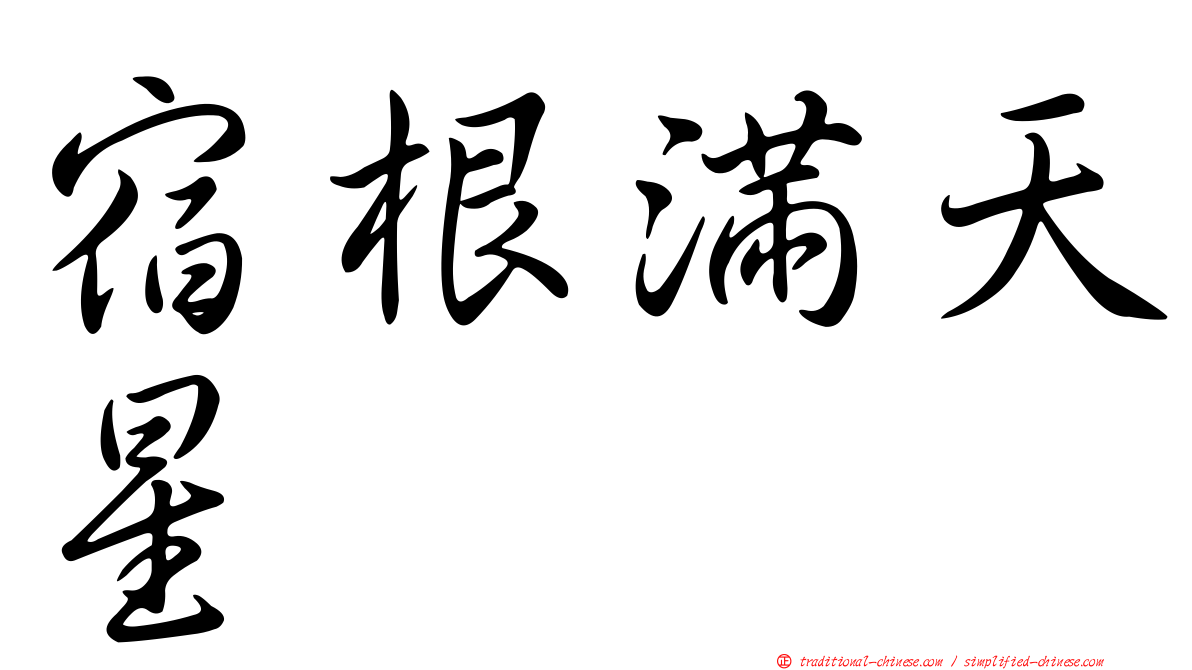 宿根滿天星