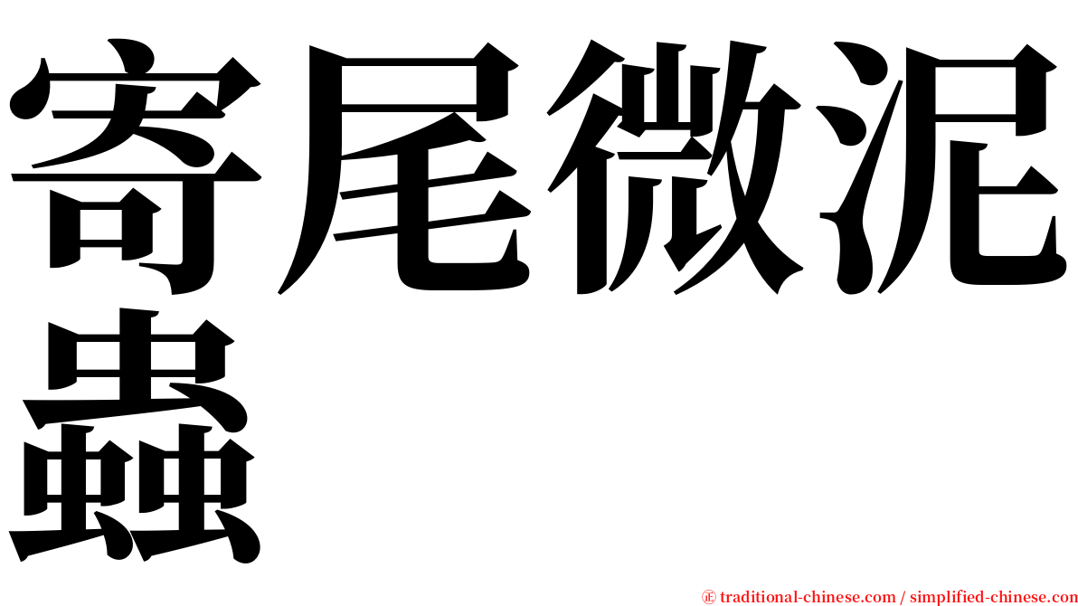 寄尾微泥蟲 serif font