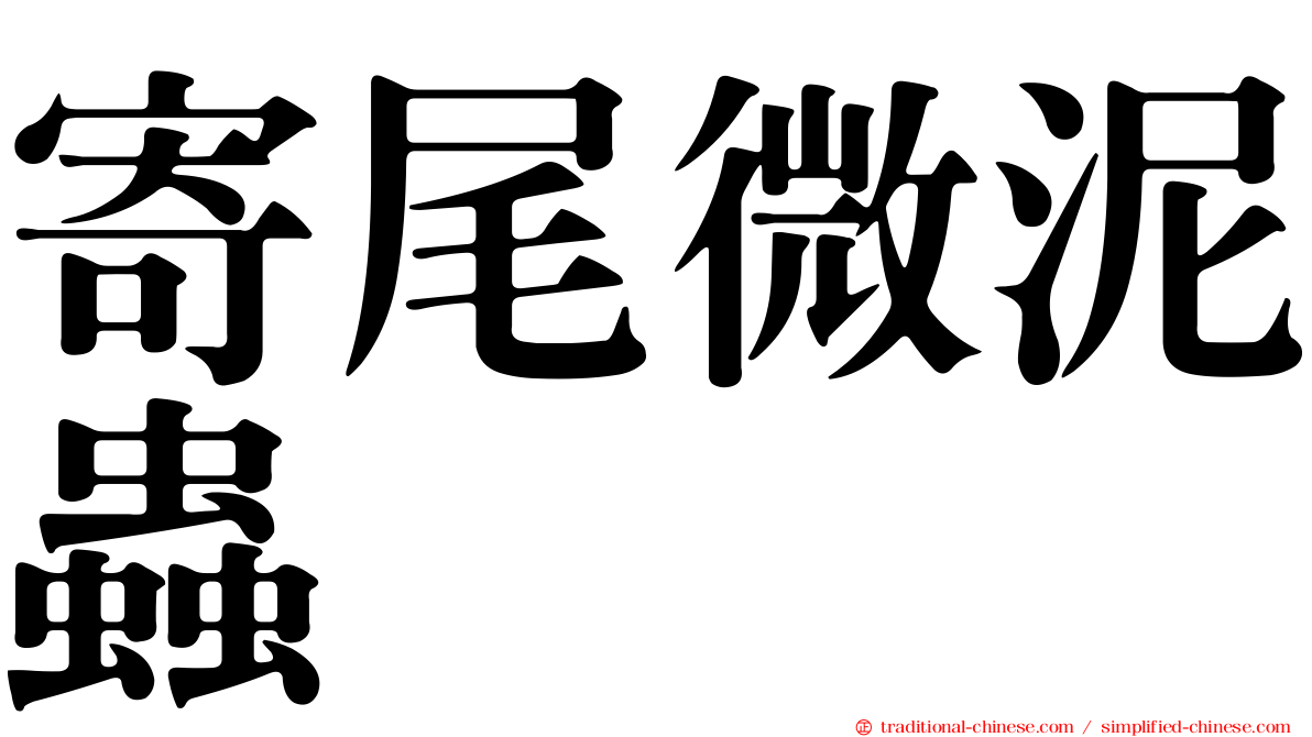 寄尾微泥蟲