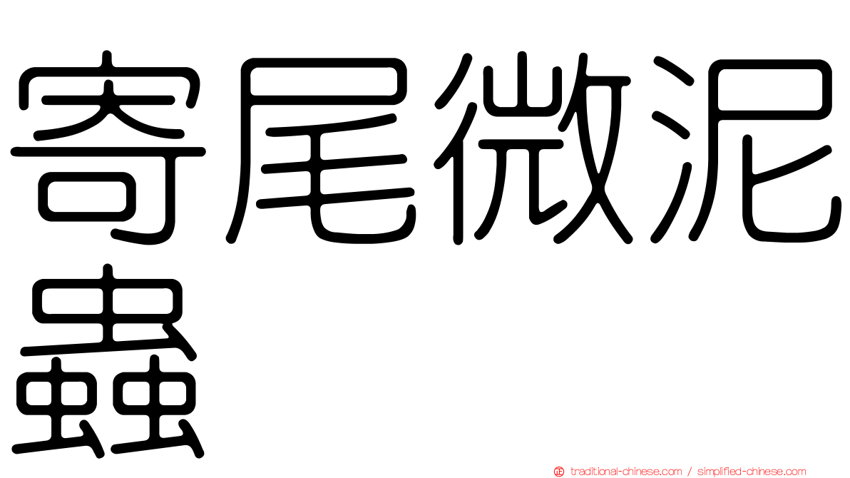 寄尾微泥蟲