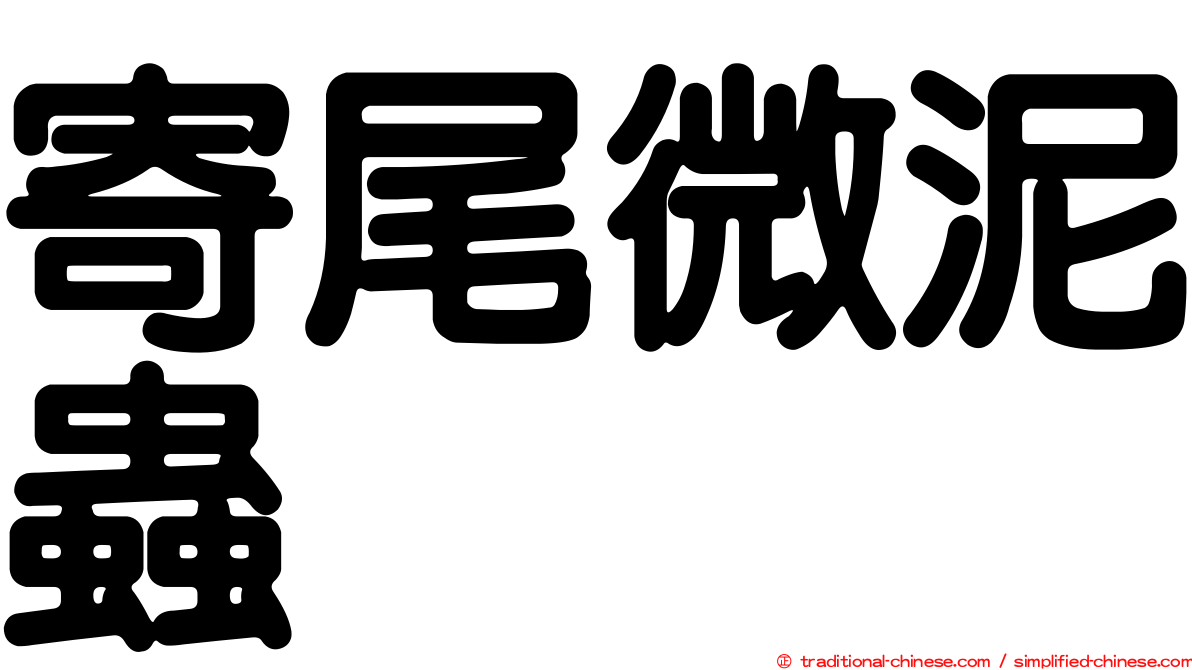 寄尾微泥蟲