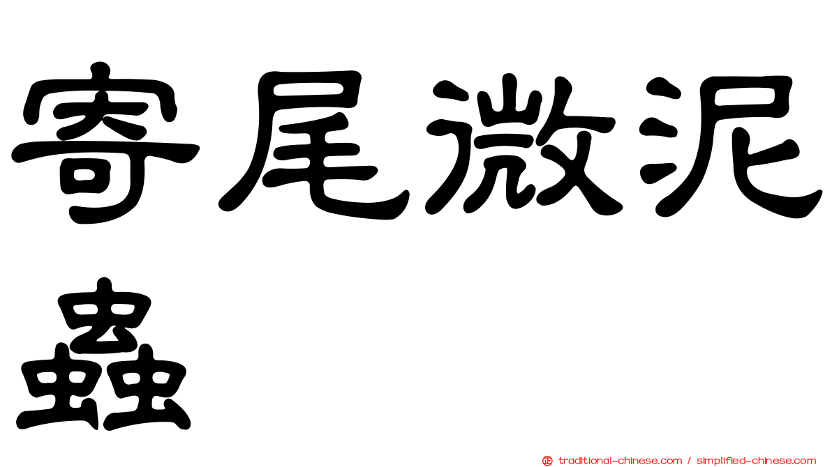 寄尾微泥蟲