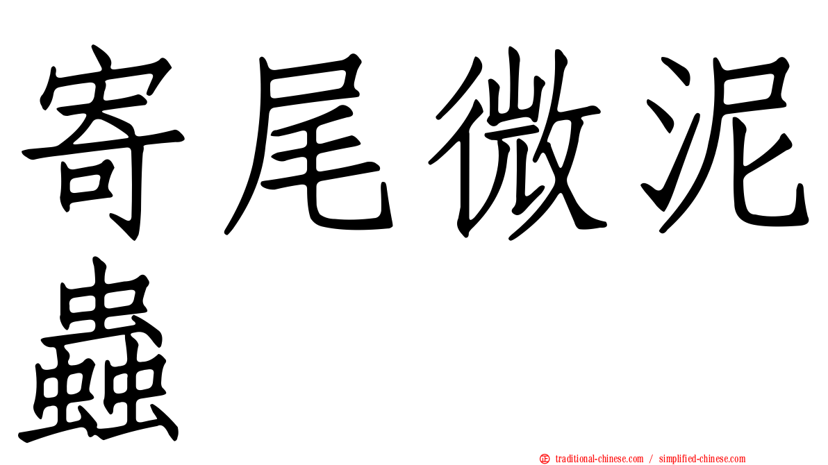 寄尾微泥蟲