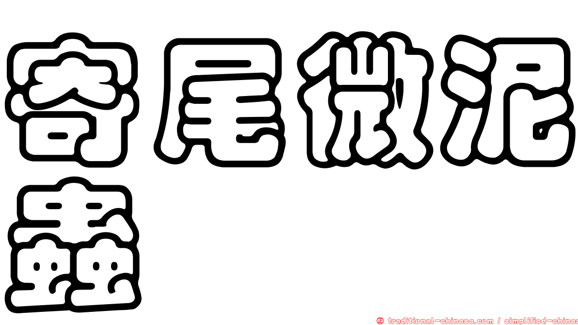 寄尾微泥蟲
