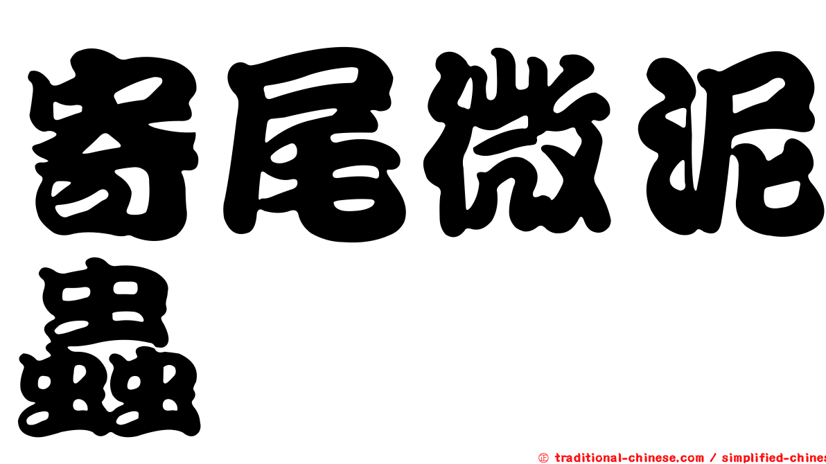 寄尾微泥蟲
