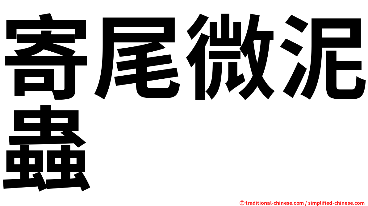 寄尾微泥蟲