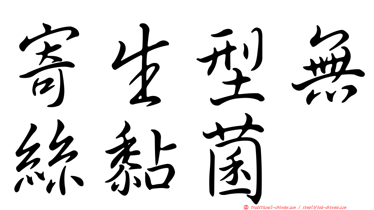 寄生型無絲黏菌