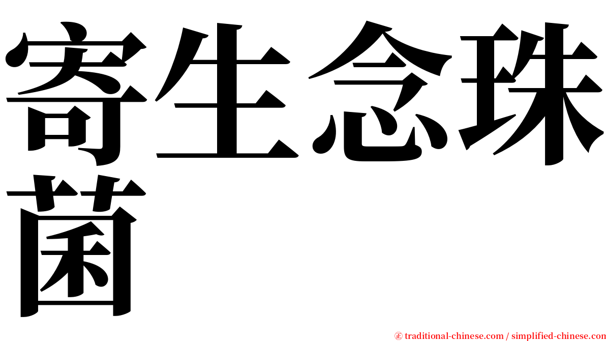 寄生念珠菌 serif font