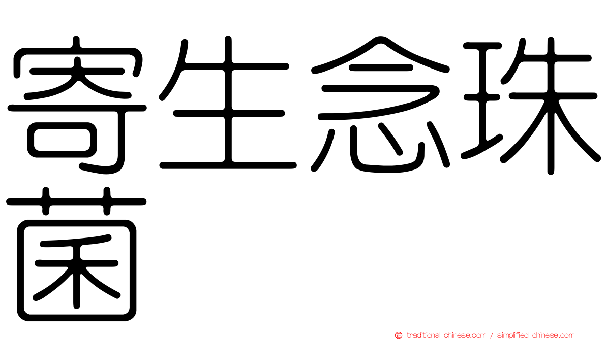 寄生念珠菌