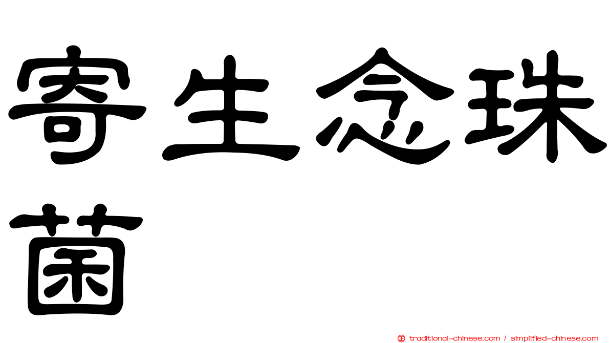 寄生念珠菌