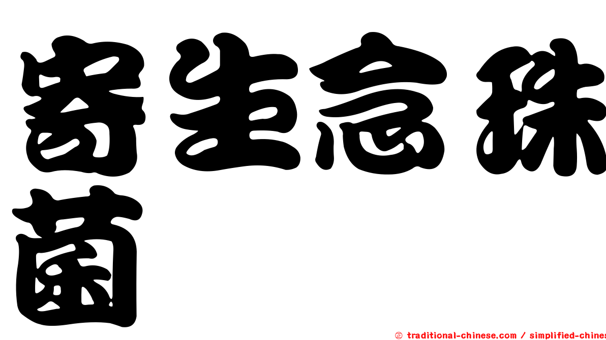 寄生念珠菌