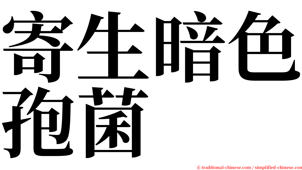 寄生暗色孢菌 serif font