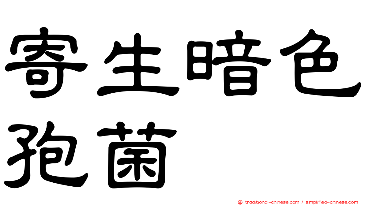 寄生暗色孢菌