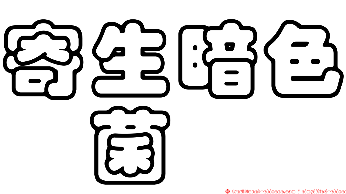 寄生暗色孢菌