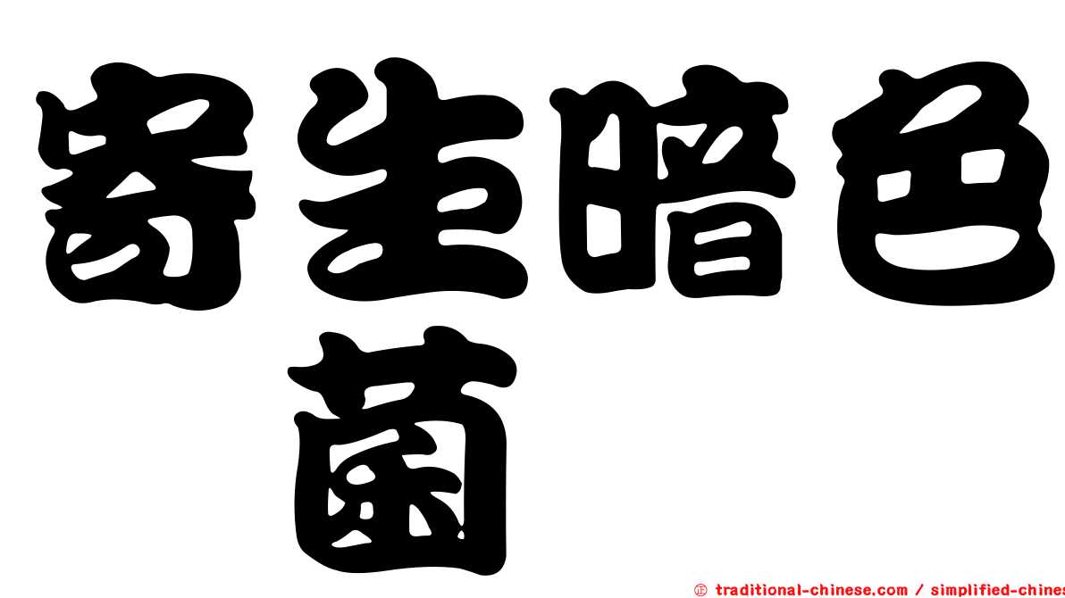 寄生暗色孢菌