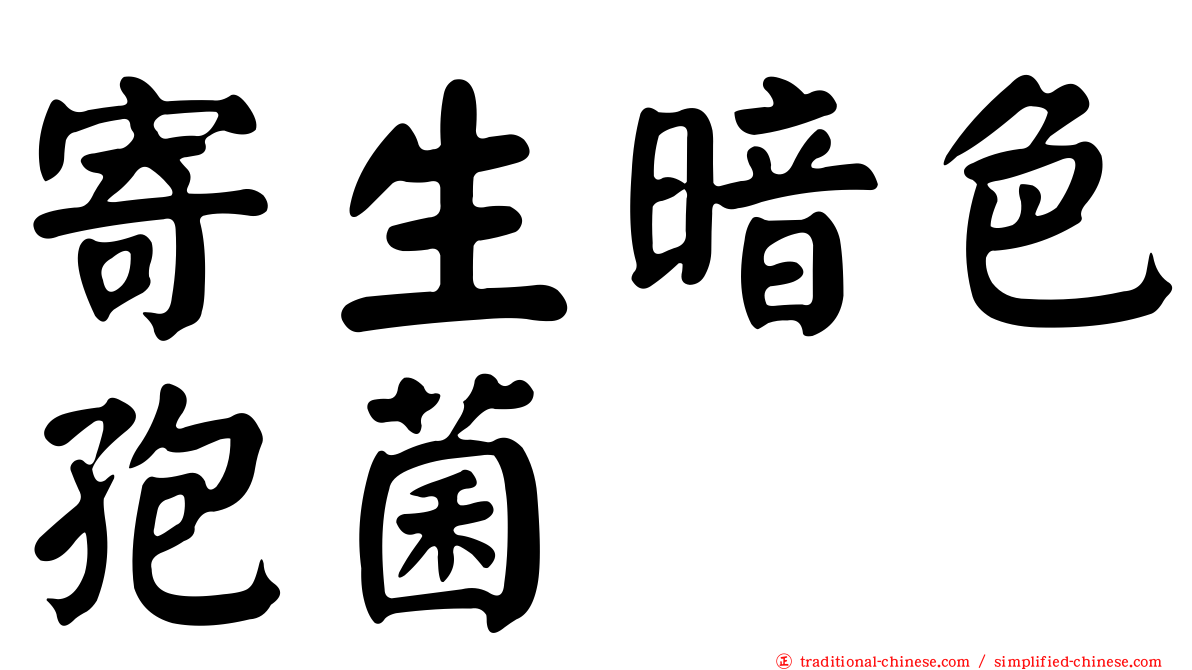 寄生暗色孢菌