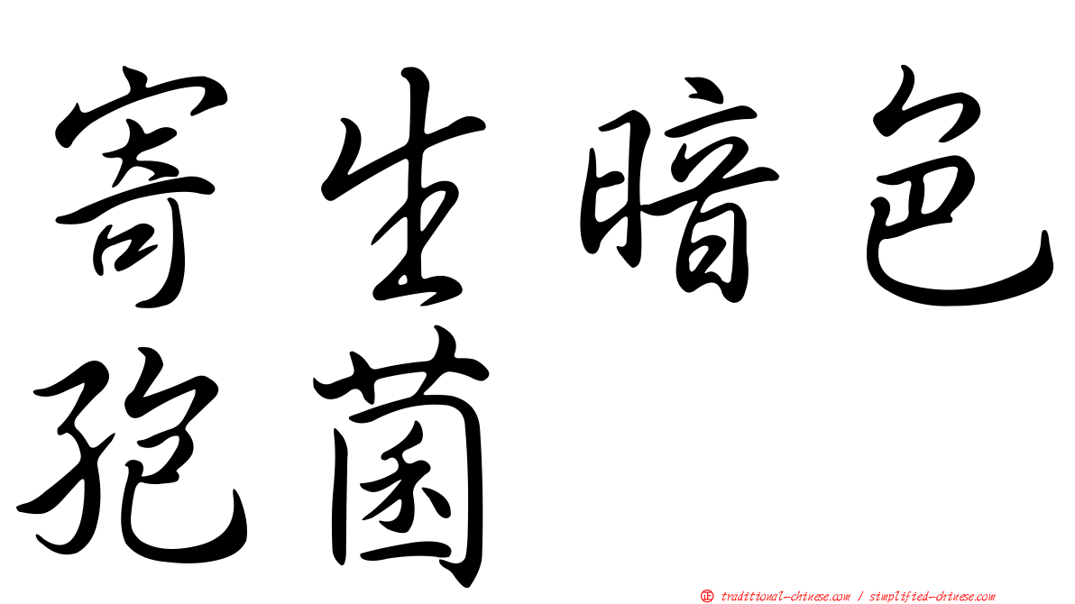 寄生暗色孢菌
