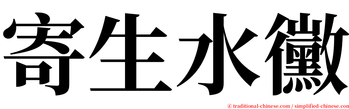 寄生水黴 serif font