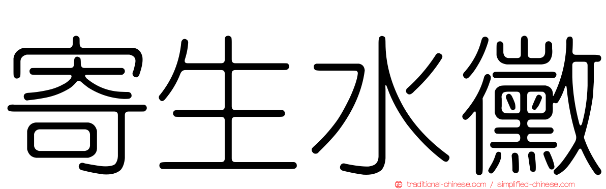 寄生水黴