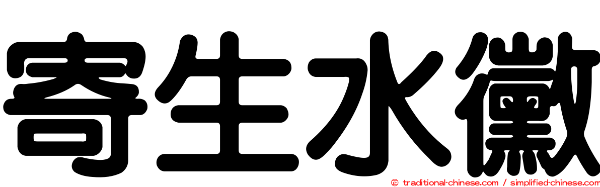 寄生水黴