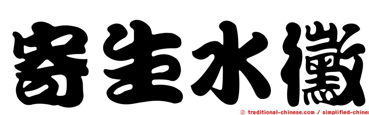 寄生水黴