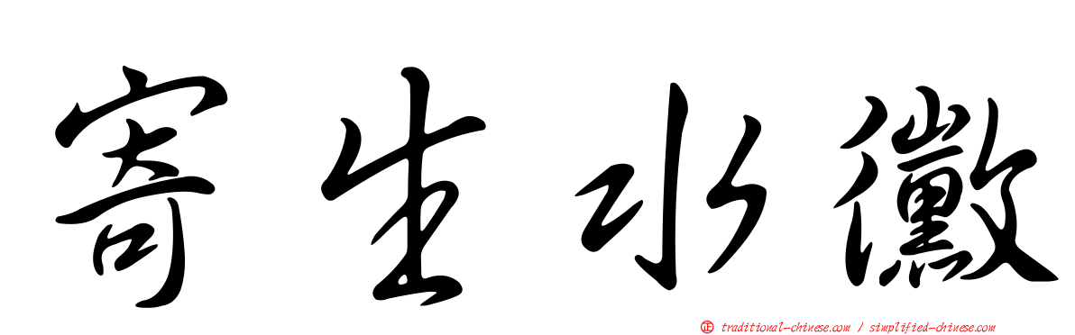 寄生水黴