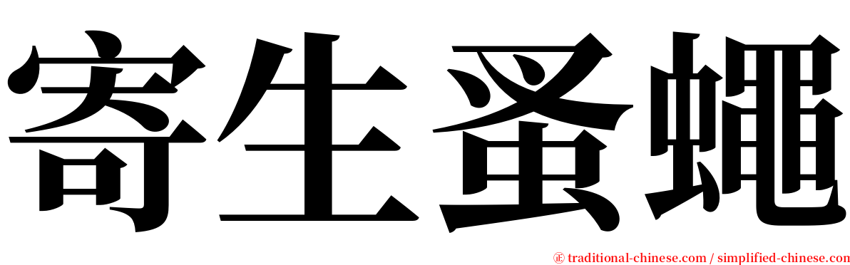 寄生蚤蠅 serif font