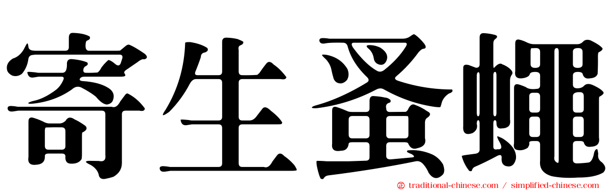 寄生蚤蠅