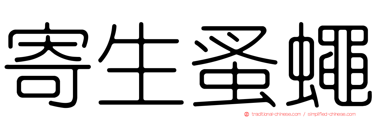 寄生蚤蠅