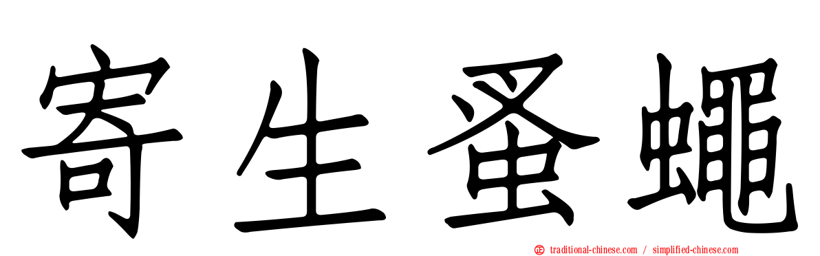 寄生蚤蠅