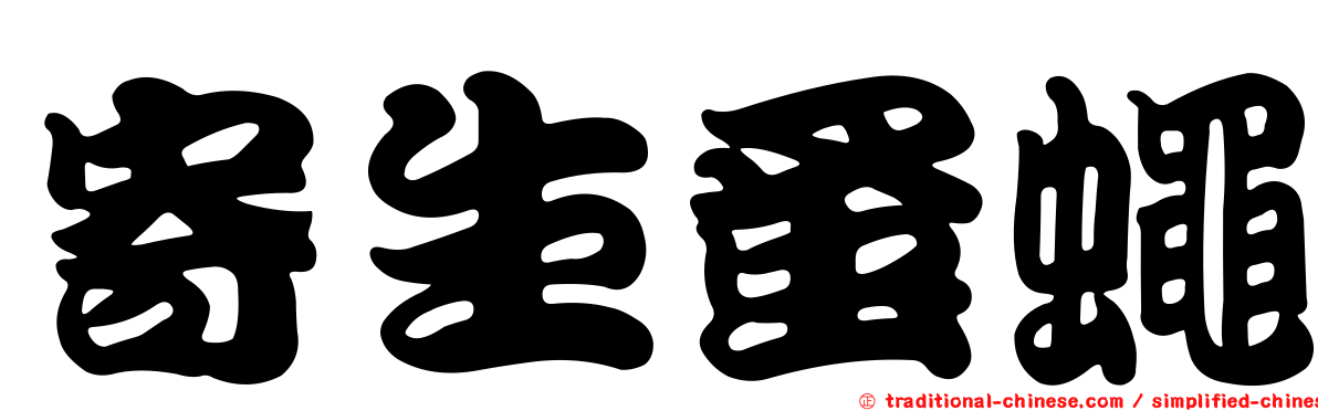 寄生蚤蠅