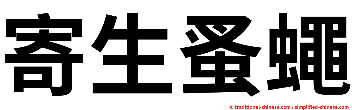 寄生蚤蠅