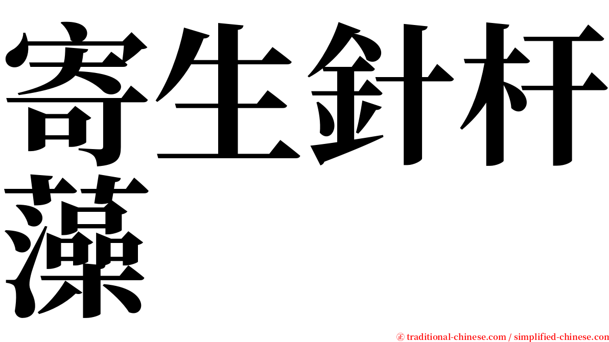 寄生針杆藻 serif font