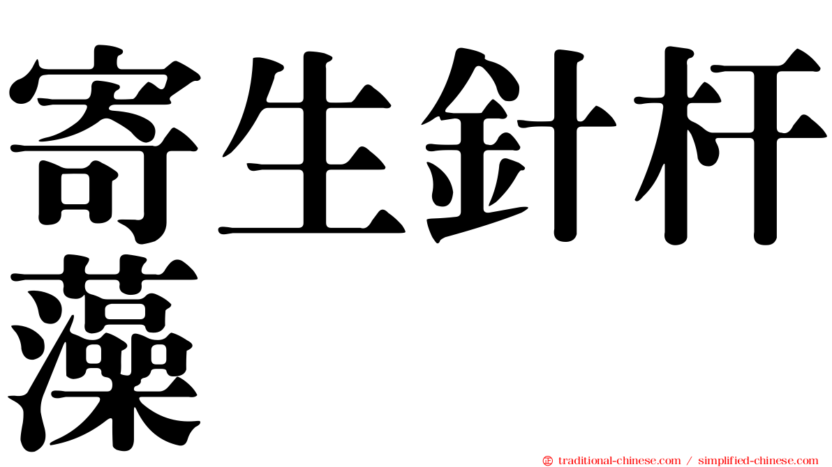 寄生針杆藻