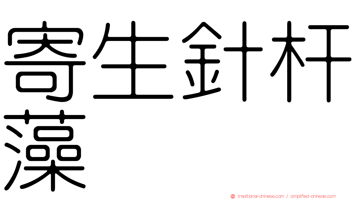 寄生針杆藻