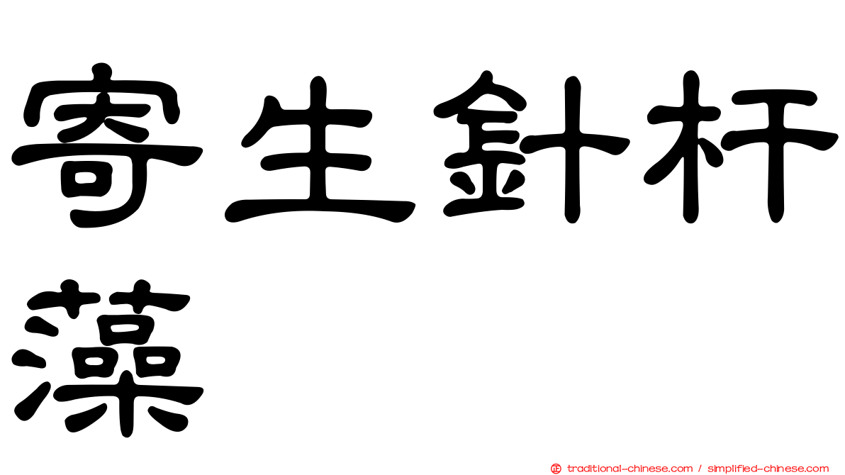 寄生針杆藻