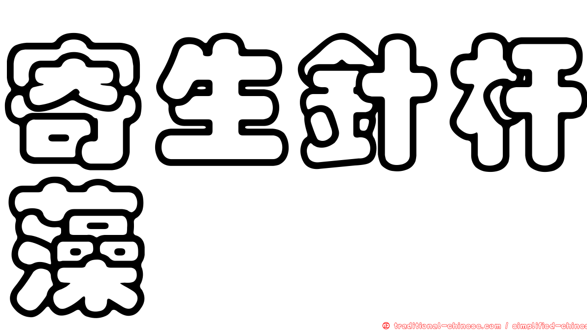 寄生針杆藻