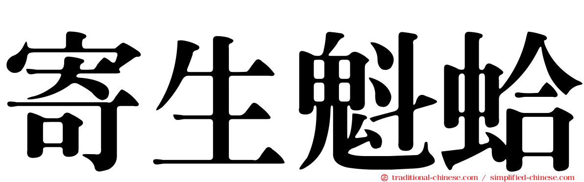 寄生魁蛤