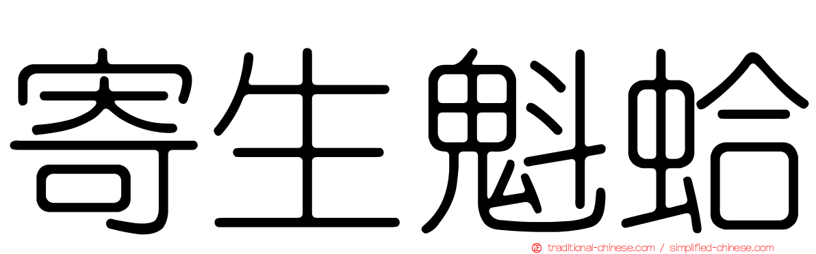 寄生魁蛤