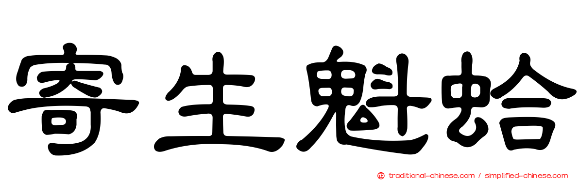 寄生魁蛤