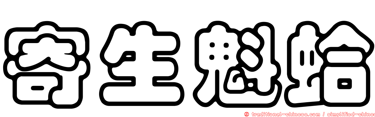 寄生魁蛤