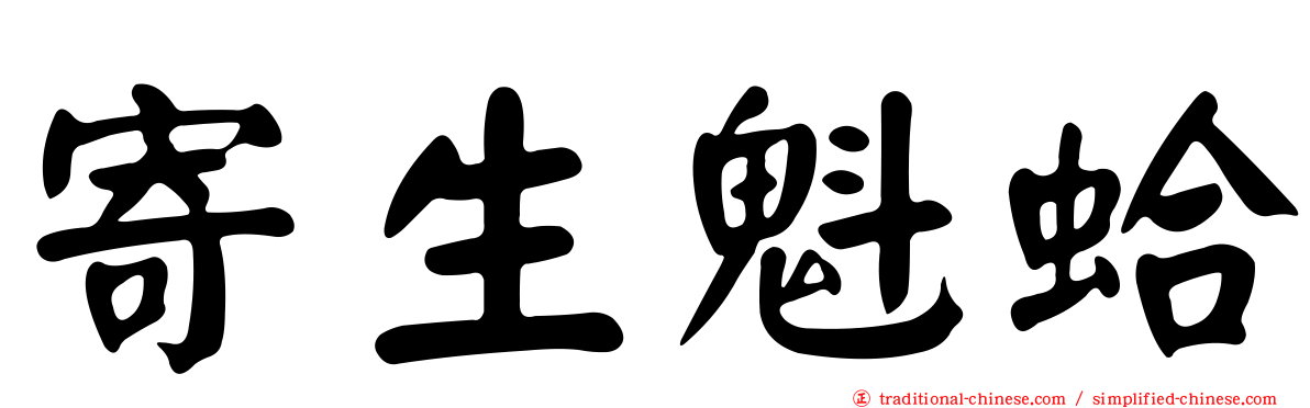 寄生魁蛤