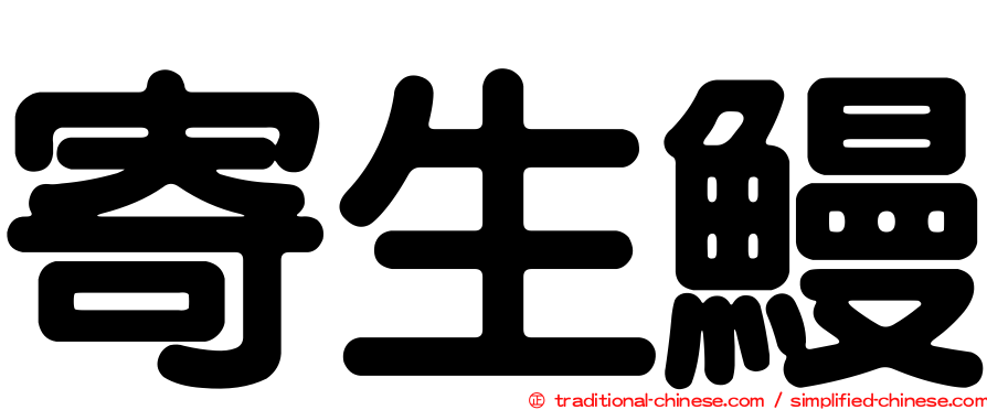 寄生鰻
