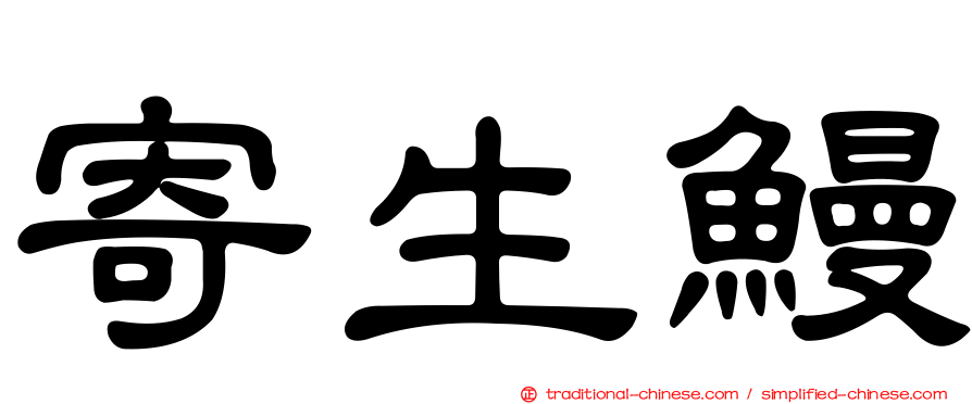 寄生鰻