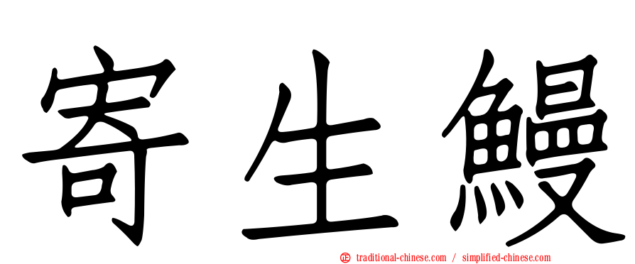 寄生鰻