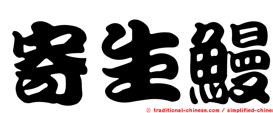 寄生鰻