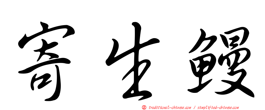 寄生鰻